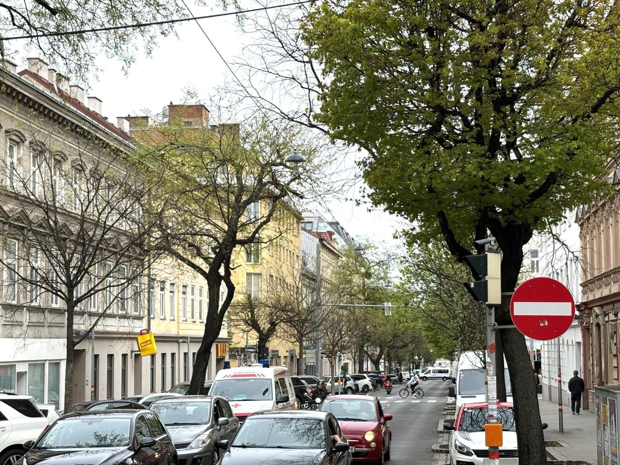 Traumhafte Wohnung Fuer 3, Grosszuegig, Walk In Dusche Vienna Esterno foto